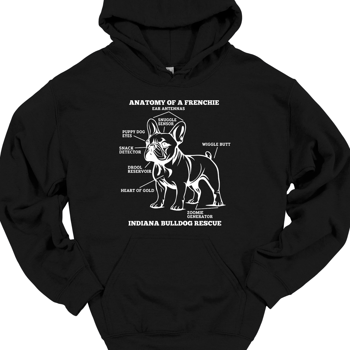 (IBDR) ANATOMY OR A FRENCHIE HOODIE