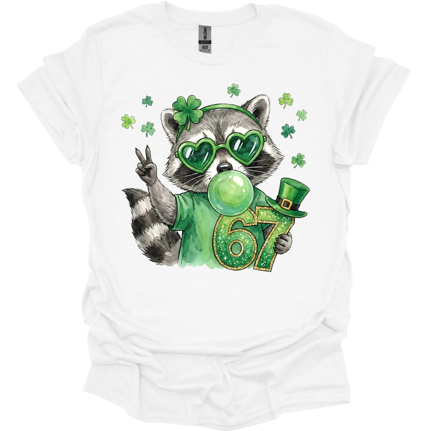 6-7 RACCOON