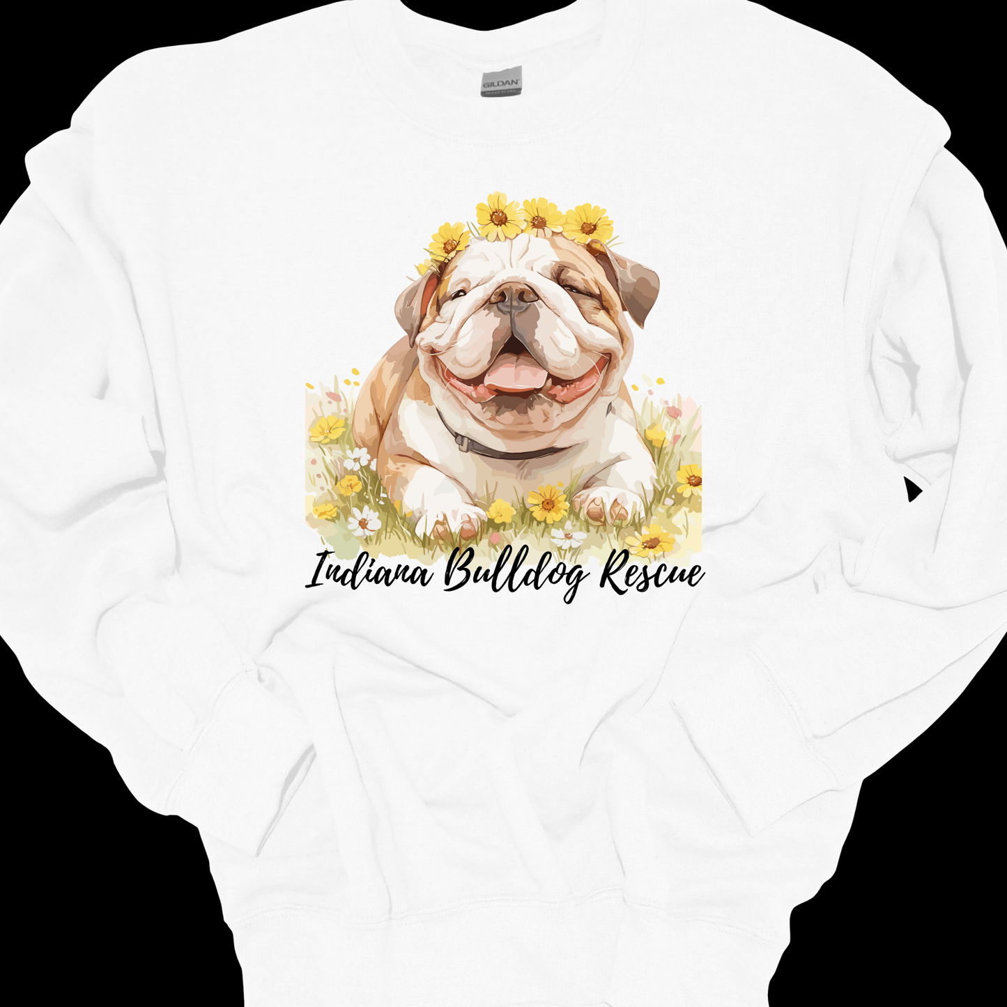 (IBDR) LITTLE LADY CREWNECK