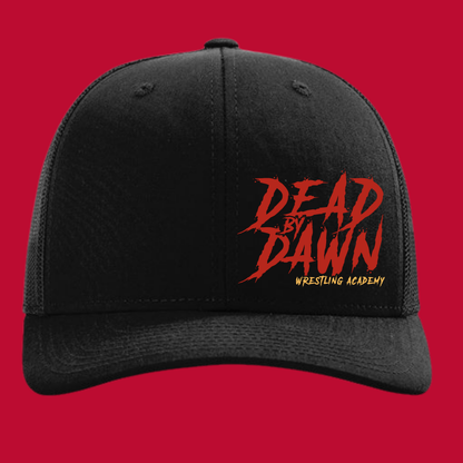 DeadByDawn WRESTLING ACADEMY2 HAT (Copy)