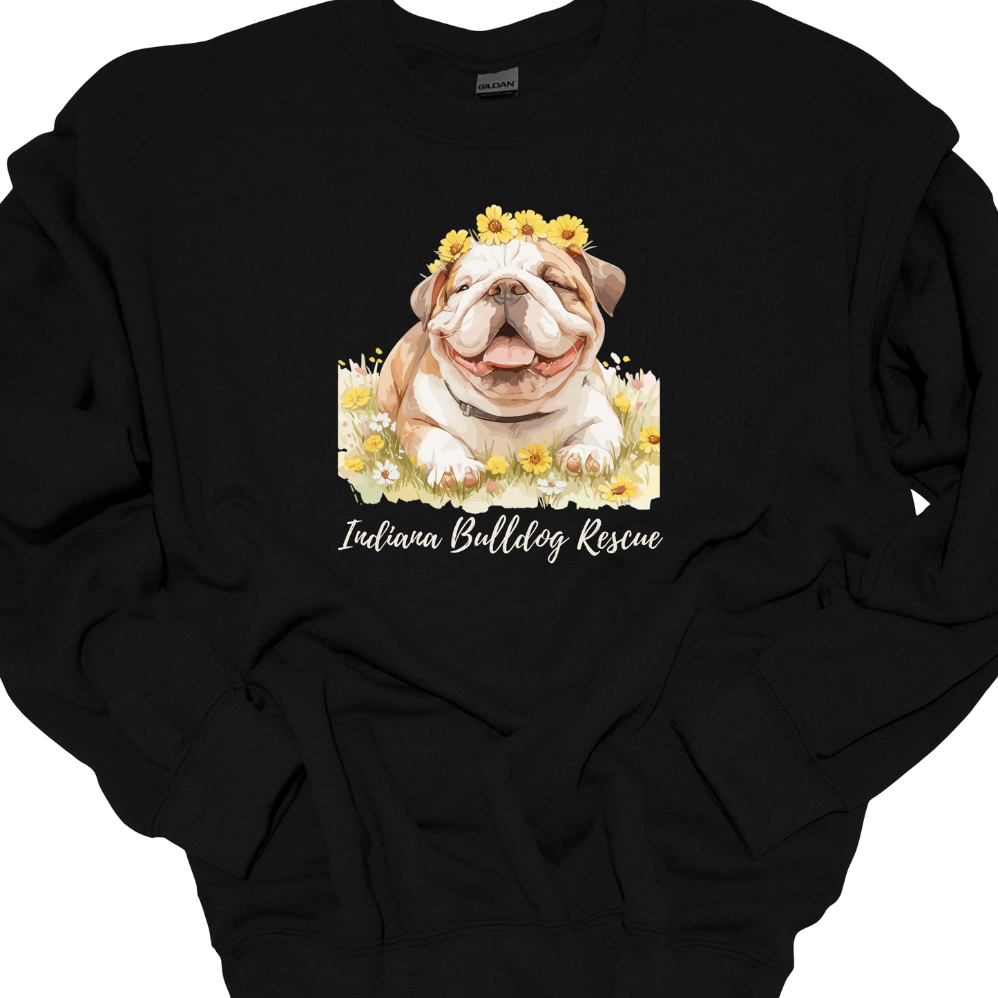 (IBDR) LITTLE LADY CREWNECK