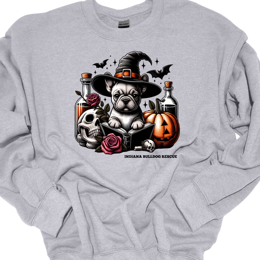 (IBDR) WITCHY VIBES CREWNECK