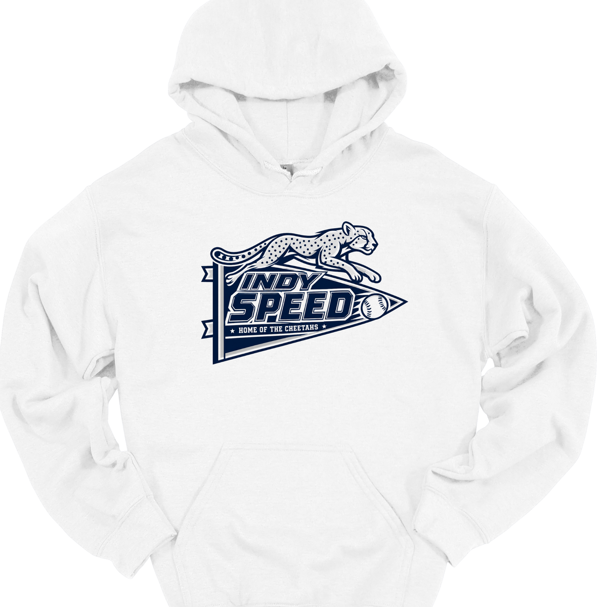INDY SPEED - PENNANT