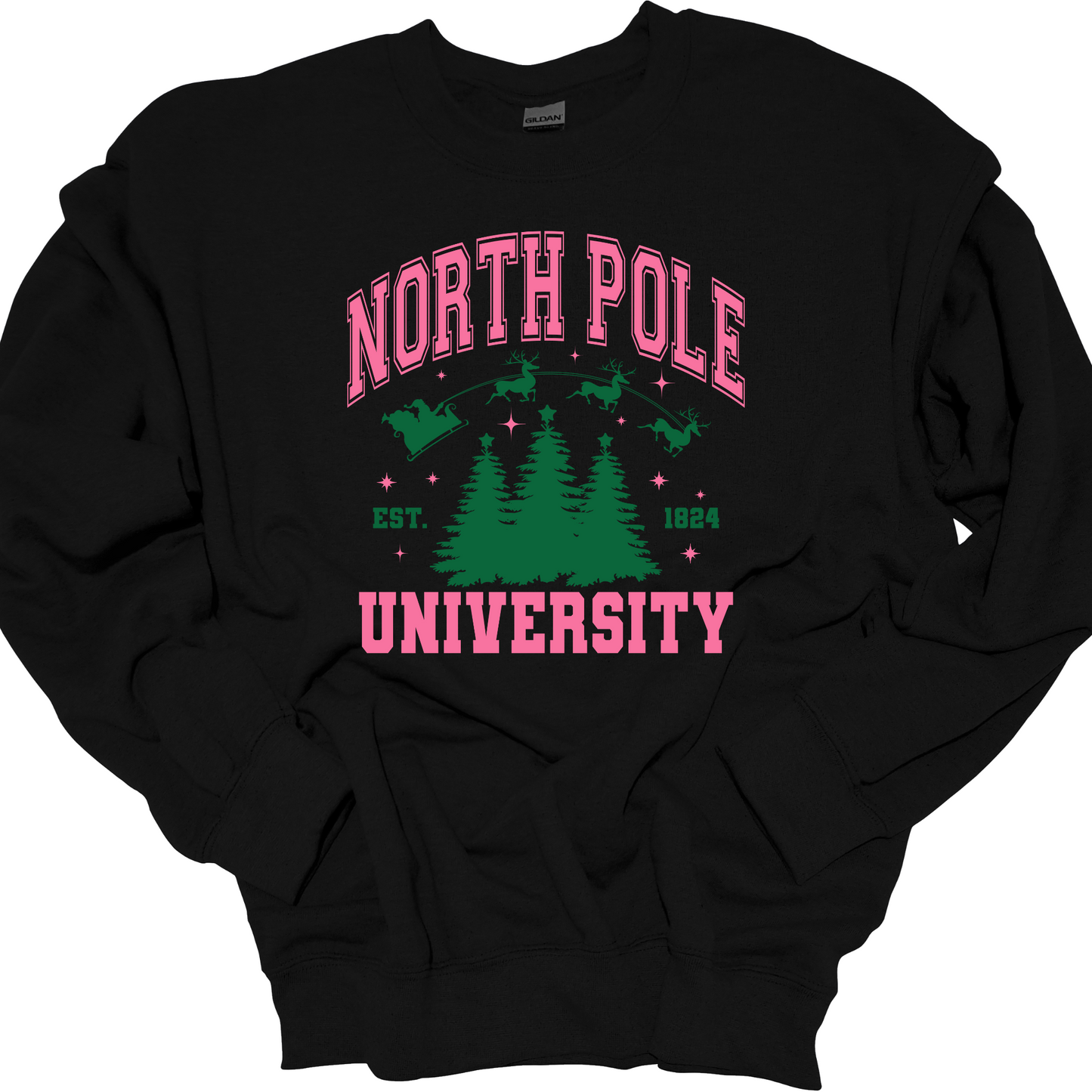 NORTH POLE UNIVERSITY CREWNECK